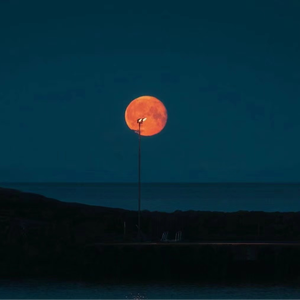 昆廷夫夫1-110集免费观看
