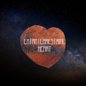 昆廷夫夫1-110集免费观看
